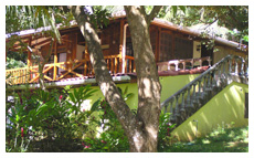 tree house for rent in montezuma, costa rica