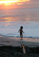 beach in front of the beach house for rent in costa rica