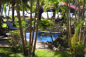 View to the pool from the trre house