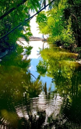 Miguelon River looking toward the ocean