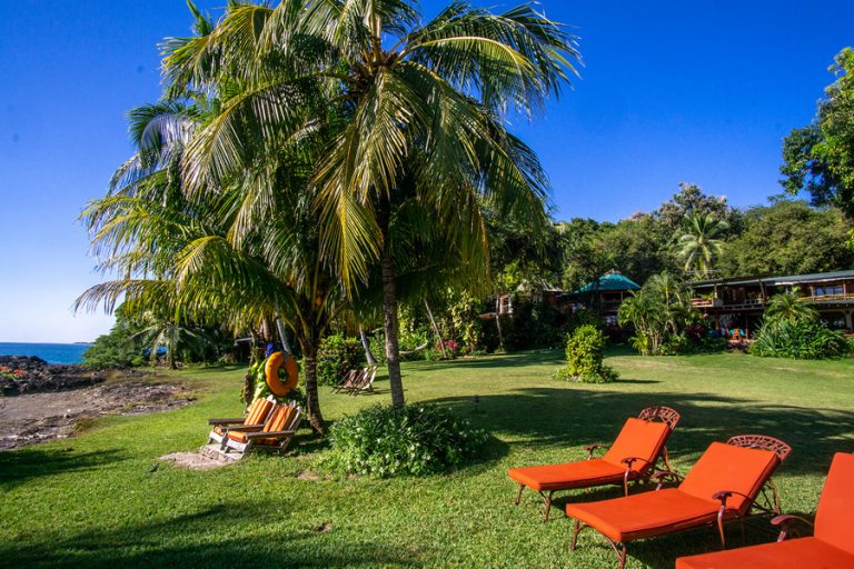 Amor de Mar 7 768x512