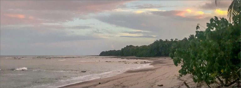 cedrossunset 768x281