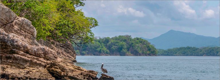 curu rectangle 768x281