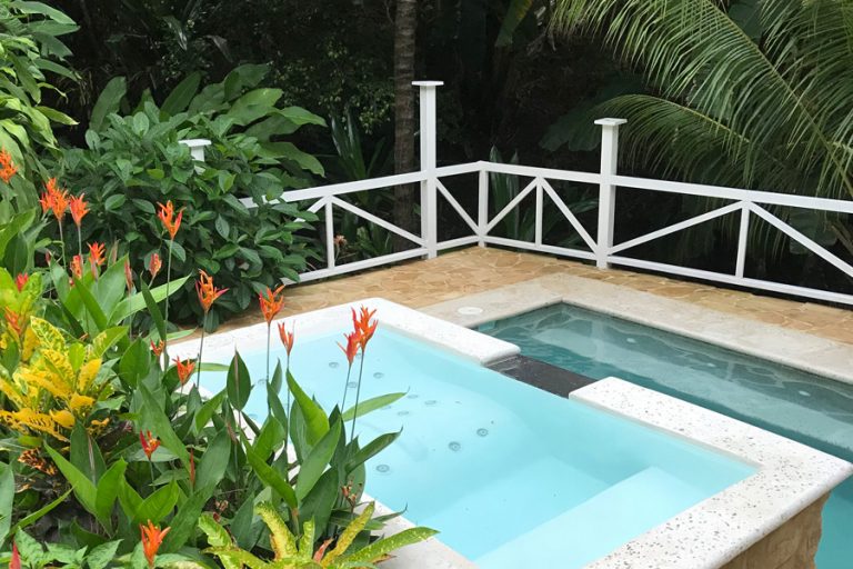 Flor de Paraiso 1 768x512