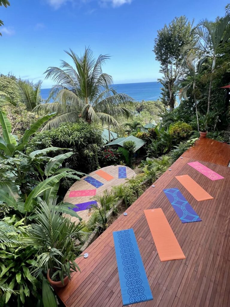 IMG 0228 Andres Chavalazo 768x1025