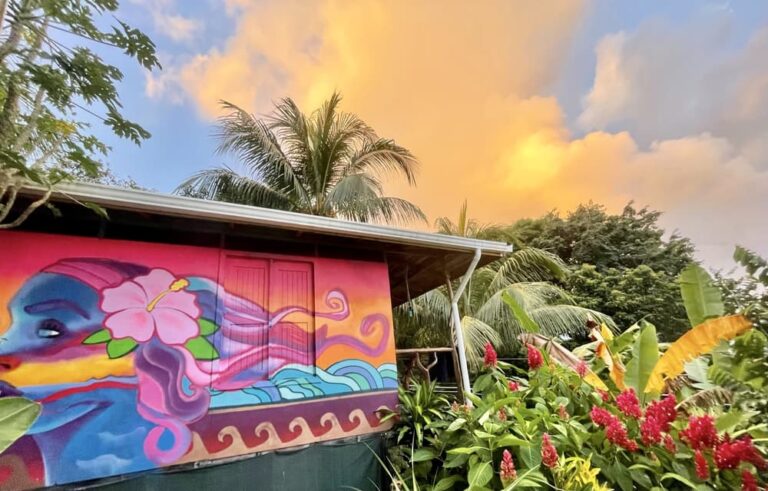 IMG 5539 Andres Chavalazo 768x491