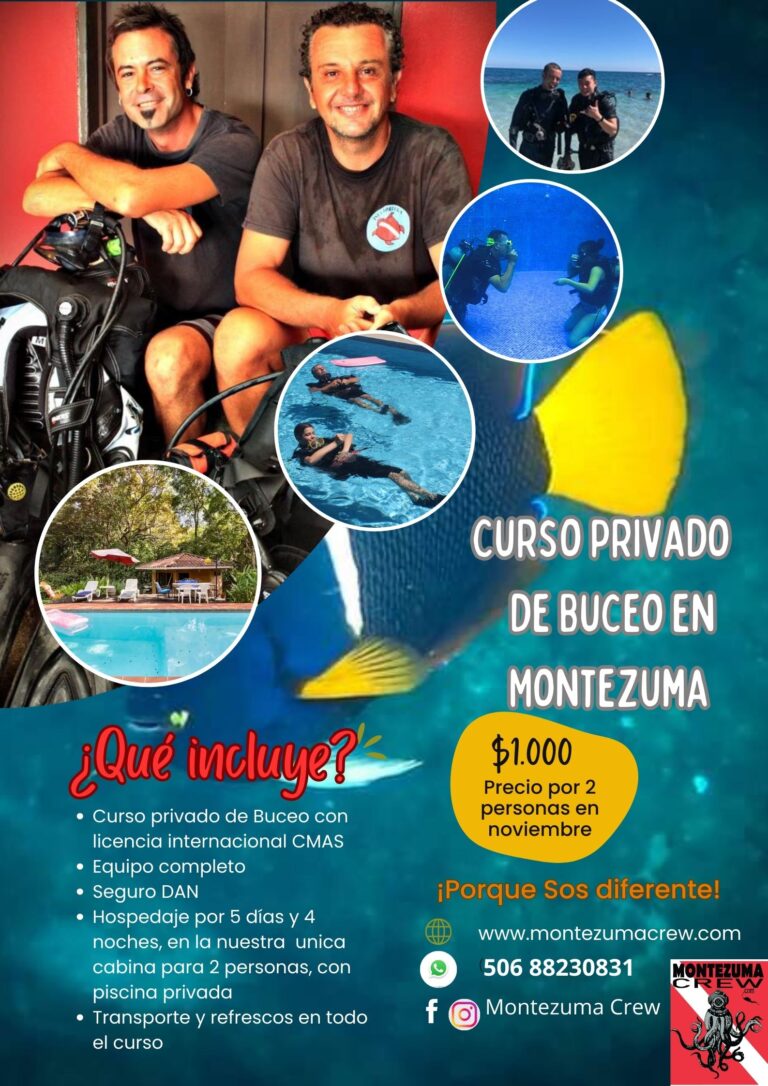locandina curso de buceo definitivo 768x1086