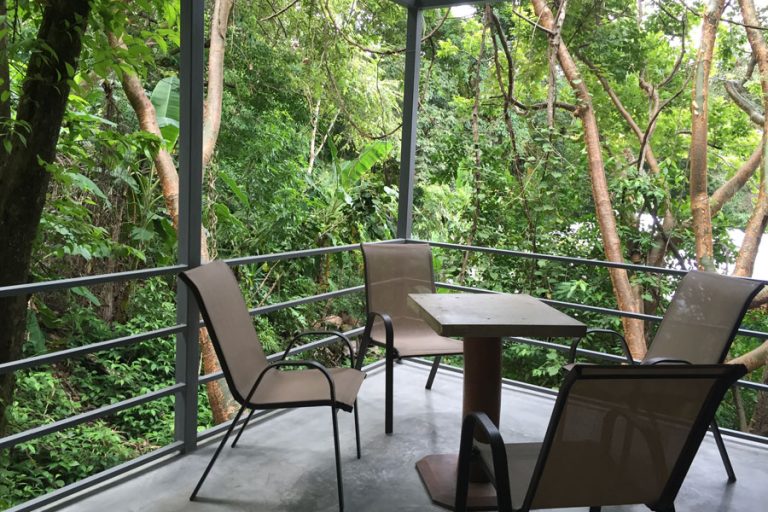 Luz en el Cielo 1 768x512