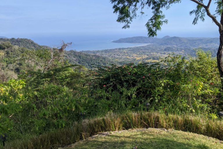 Nicoya Real Estate 3 768x512