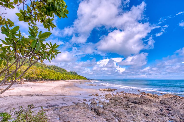 Sano Banano Hotel 1 768x512