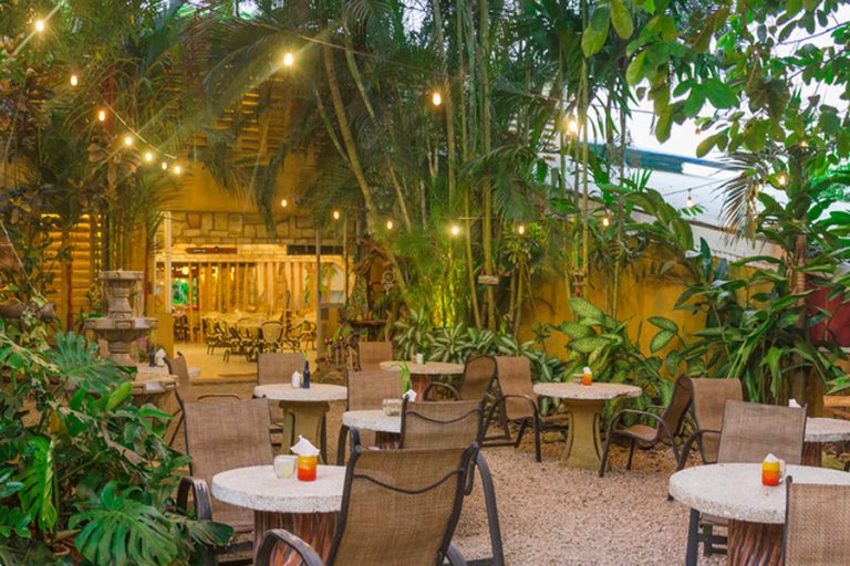 Sano Banano Restaurante 2 768x512