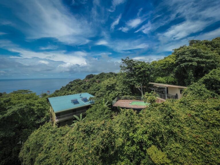 SUNSHINE 5 Anastacia Dadashpour 768x576