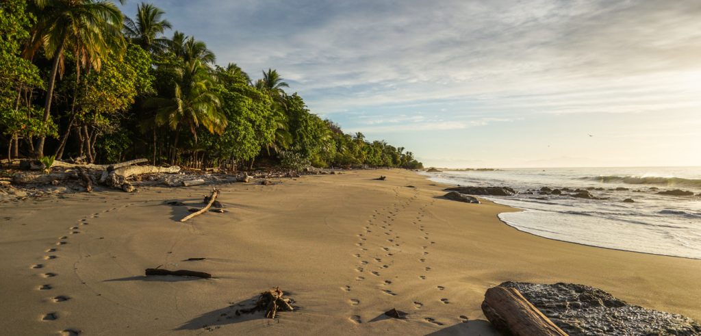 footprints on beautiful beach