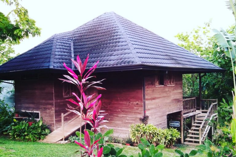 Toucan Hill House 1 768x512